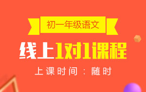 初一年級(jí)語文線上1對(duì)1課程