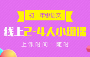 初一年級(jí)語文線上2-4人小組課