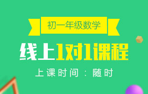 初一年級(jí)數(shù)學(xué)線上1對(duì)1課程