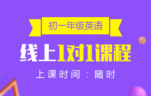 初一年級(jí)英語線上1對(duì)1課程