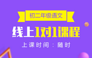 初二年級(jí)語文線上1對(duì)1課程