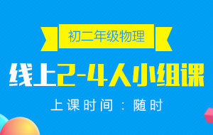初二年級(jí)物理線上2-4人小組課