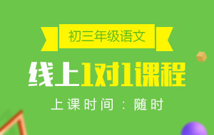 初三年級(jí)語文線上1對(duì)1課程