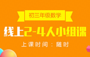 初三年級(jí)數(shù)學(xué)線上2-4人小組課