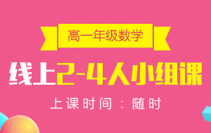 高一年級(jí)數(shù)學(xué)線上2-4人小組課